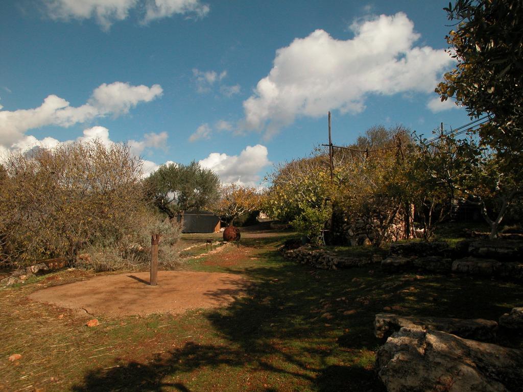 ホテル Back To Nature Camping & Huts Mikhmannim 部屋 写真